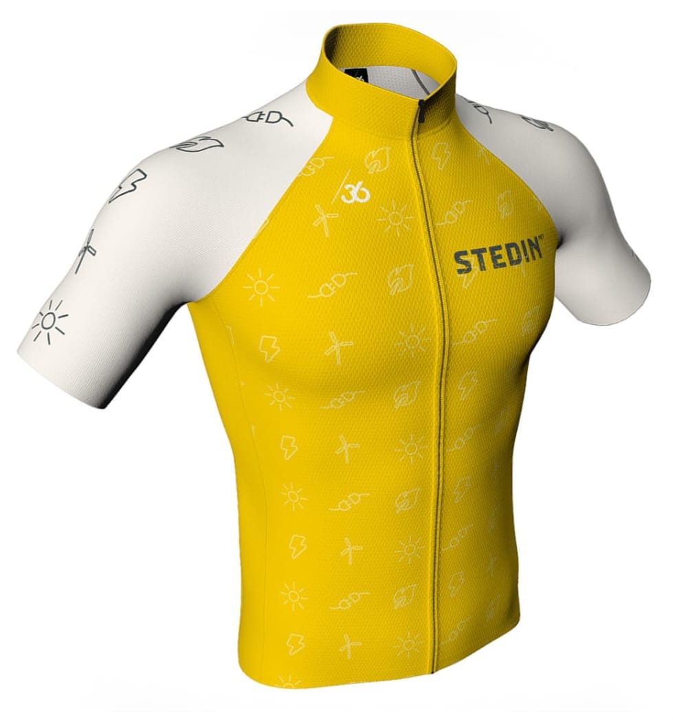 STEDIN